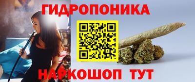 молекула духа Можга