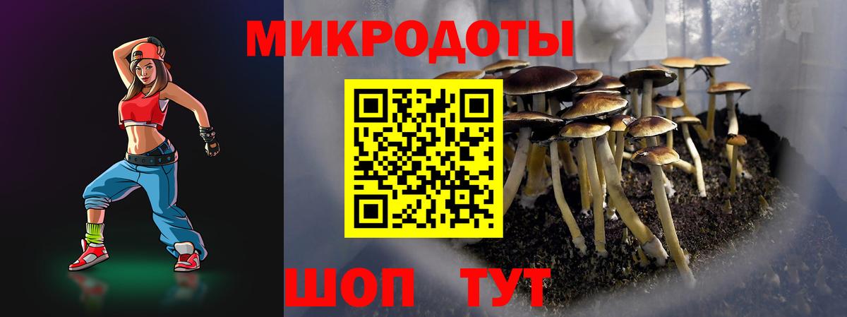 Галлюциногенные грибы мухоморы Усинск